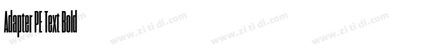 Adapter PE Text Bold字体转换